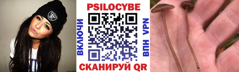 Псилоцибиновые грибы Magic Shrooms  Кропоткин 